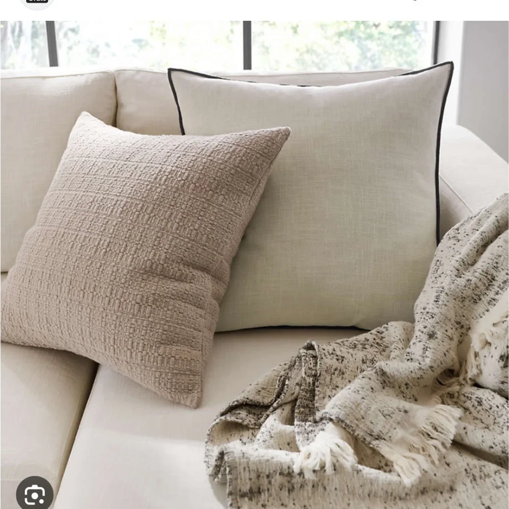 Crate &Barrel 20”x20”